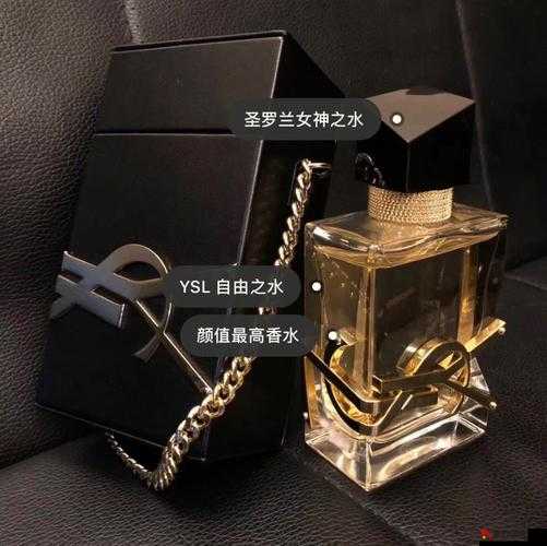 YSL 千人千色 AE68：探索色彩与个性的魅力之旅